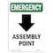 Signmission Safety Sign, OSHA EMERGENCY, 10" Height, Assembly Point (Down Arrow), Portrait OS-EM-D-710-V-10429 - alternate 1